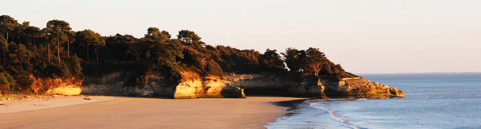 plage de suzac meschers charente maritime
