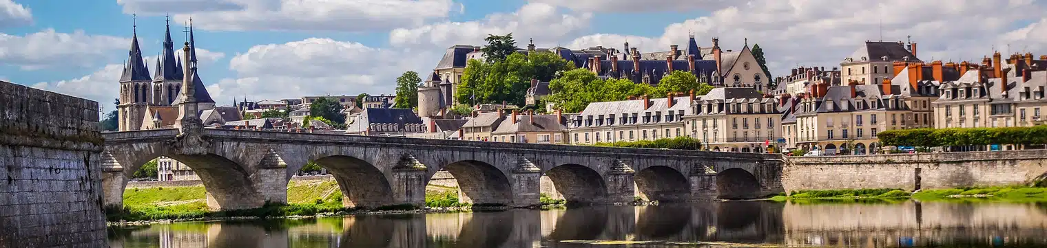 château de Blois - photographie vue de loin