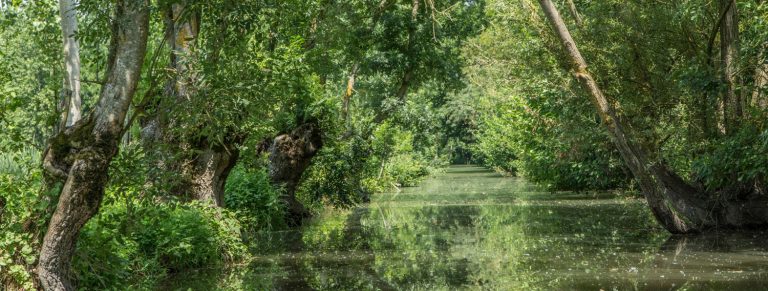 Poitevin marshlands