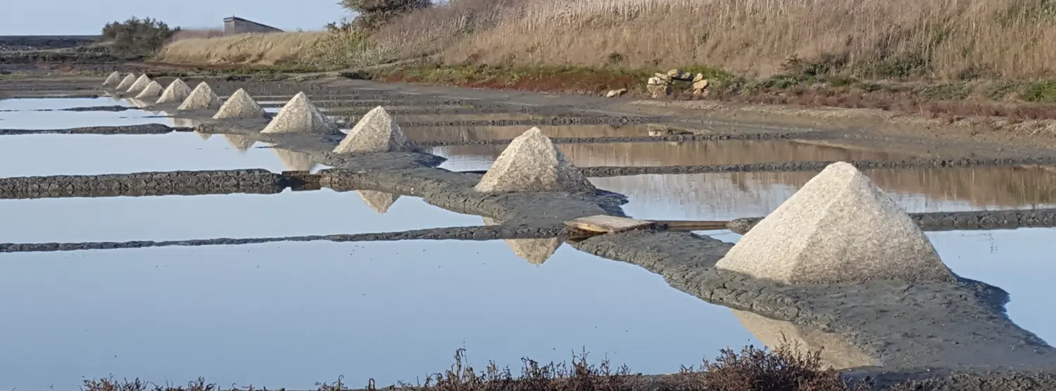Marais Salants de l'Île de Ré