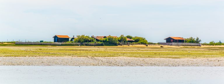 Vogeleiland