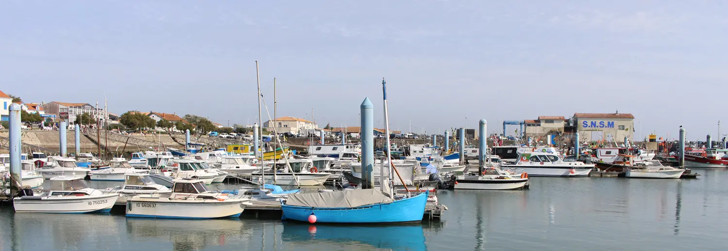 la cotinière