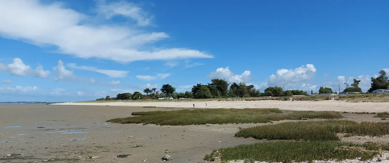 port des barques