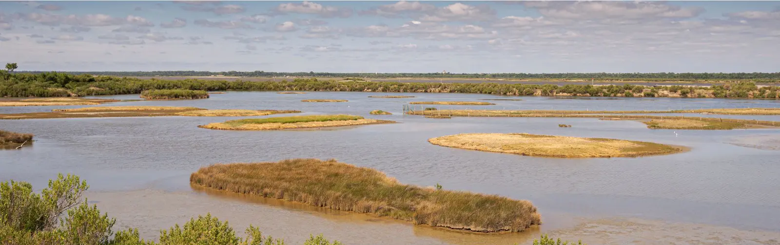 réserve ornithologique du Teich