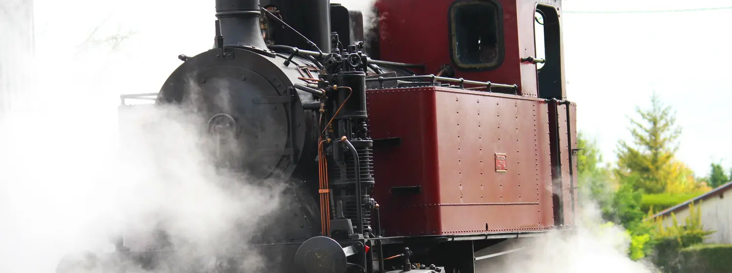 train des mouettes
