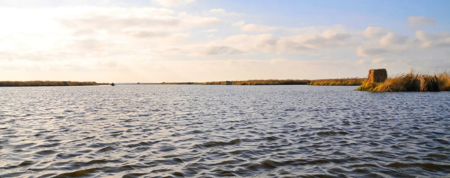 parc naturel régional de Brière