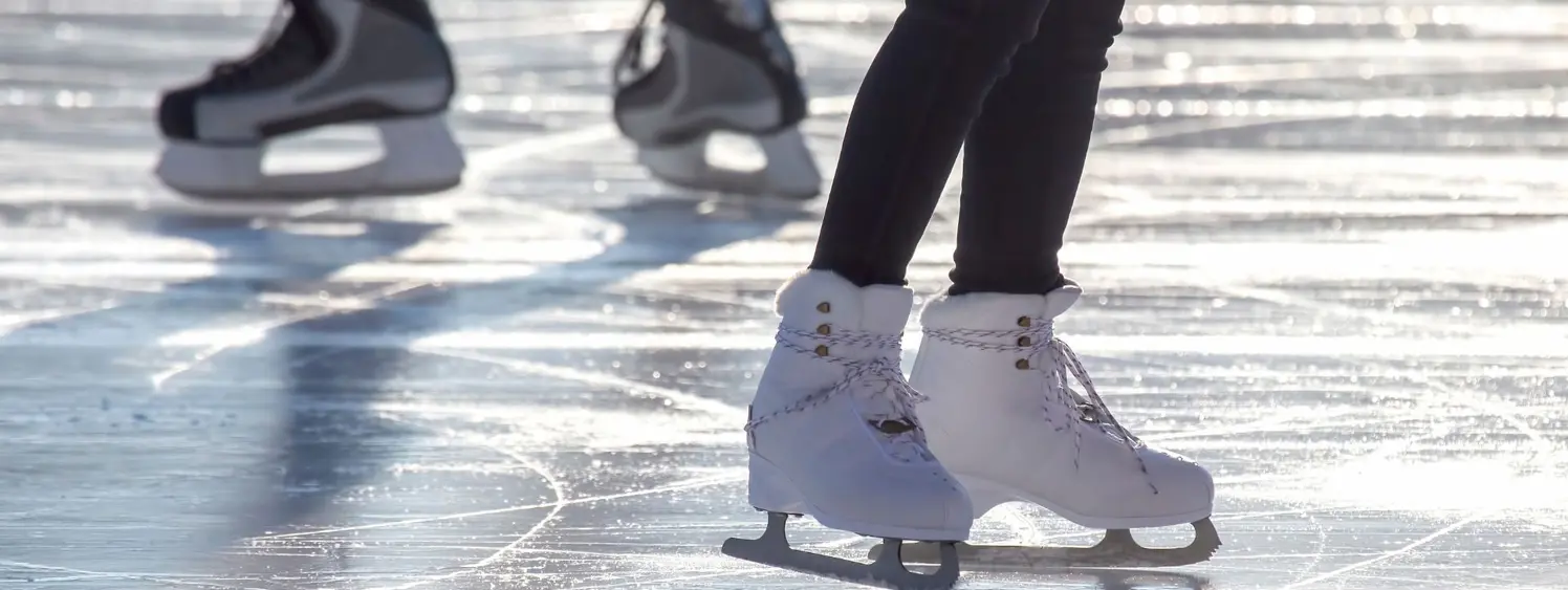 patinoire nantes