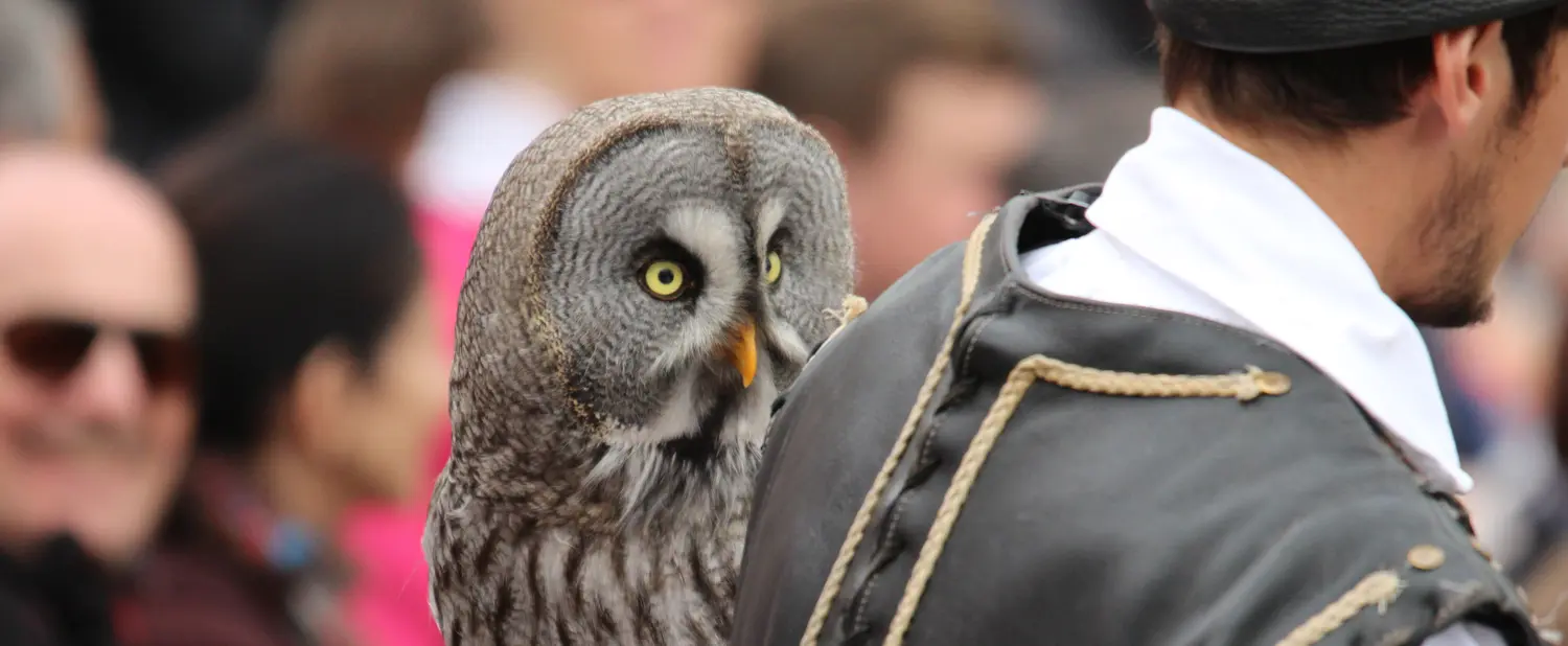 puy du fou
