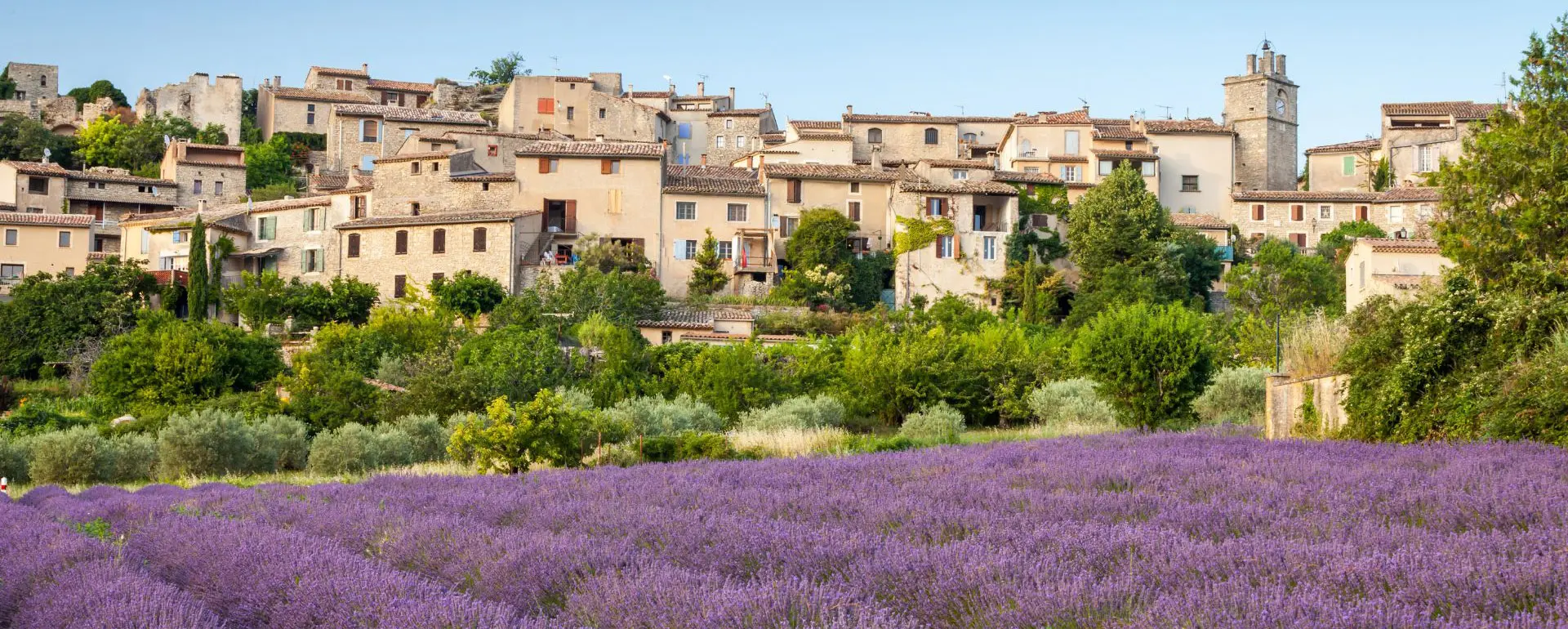 vaucluse