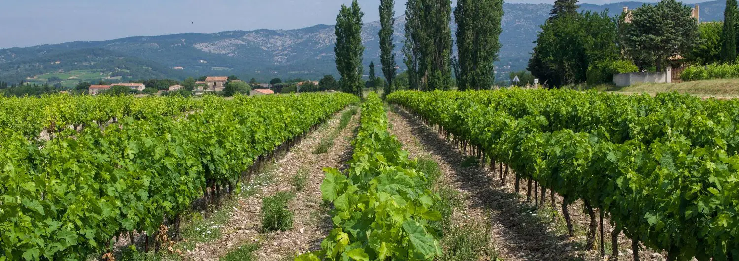 Beaumes de Venise