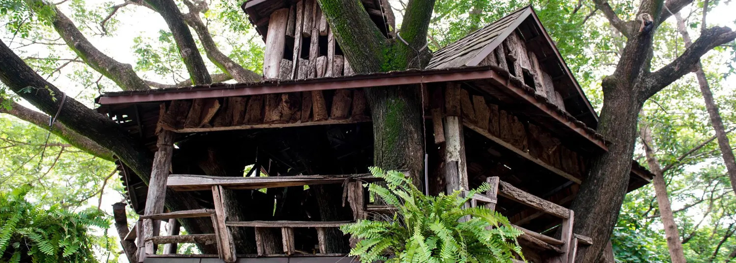 baumhaus gironde