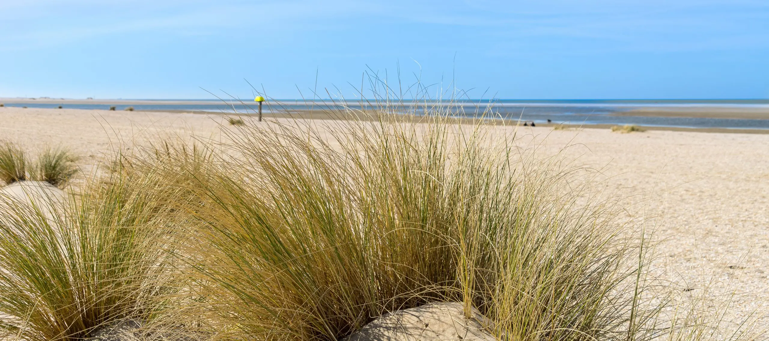 Strand von La Bouverie