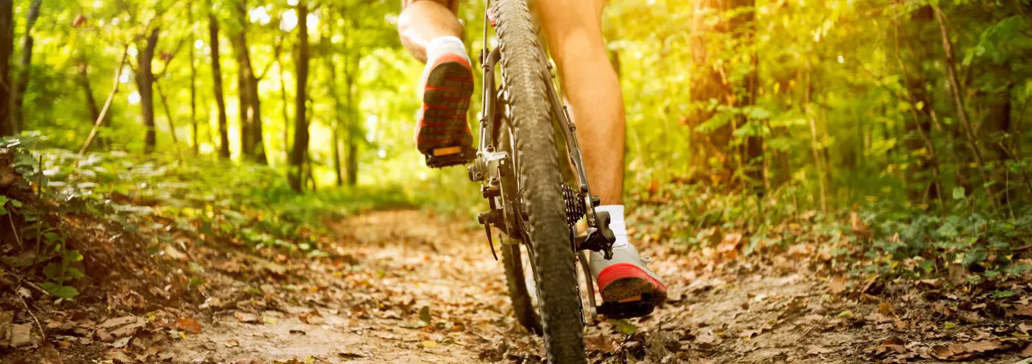 mountain biking in France
