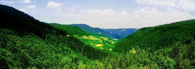 Vosges mountains