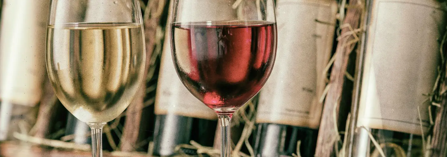 Corsican wines