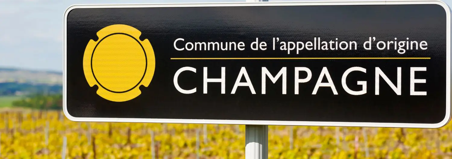 champagne - regio, grands crus en wijngaarden