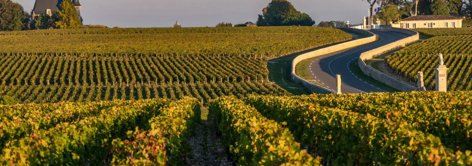 France's 17 wine routes