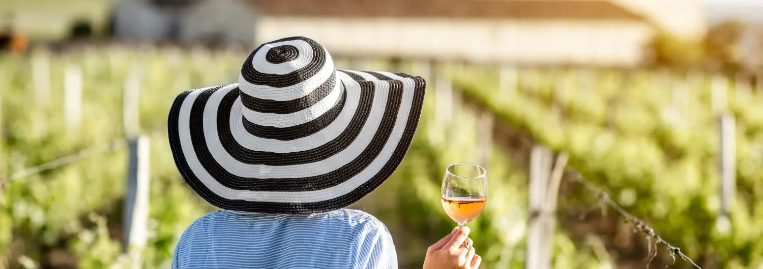 burgundy wines