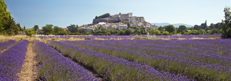Drôme (department)