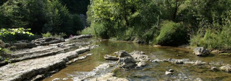 Lozère
