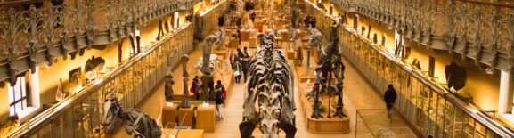 Interior of Natural History Museum in London Editorial Stock Photo