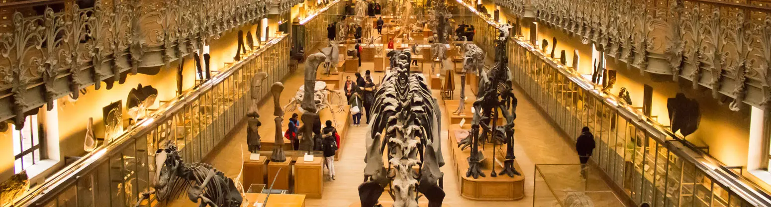 natural history museum