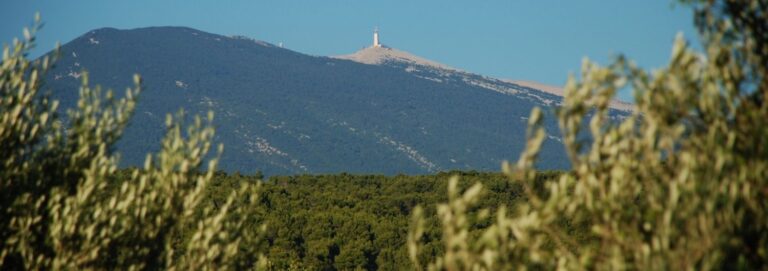 Bédarrides