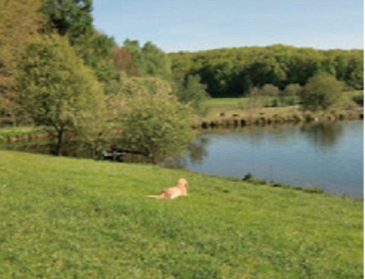 Boerderij met privé visvijver