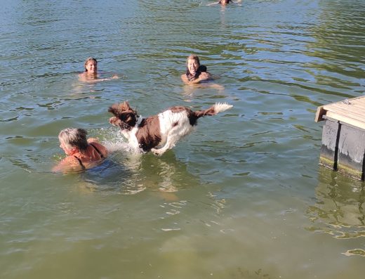 Fietsen langs de Seine, vakantiehuisjes met 6 eenpersoonsbedden, een verborgen tuintje aan het water