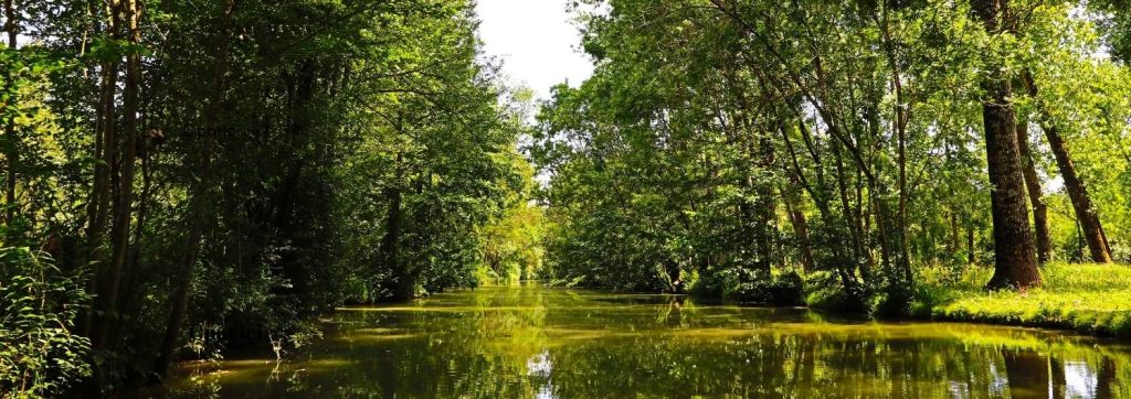 Het natte moeras in het Marais Poitevin