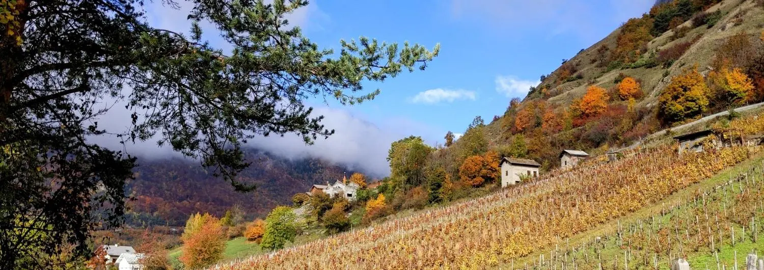 vakantiehuizen savoie