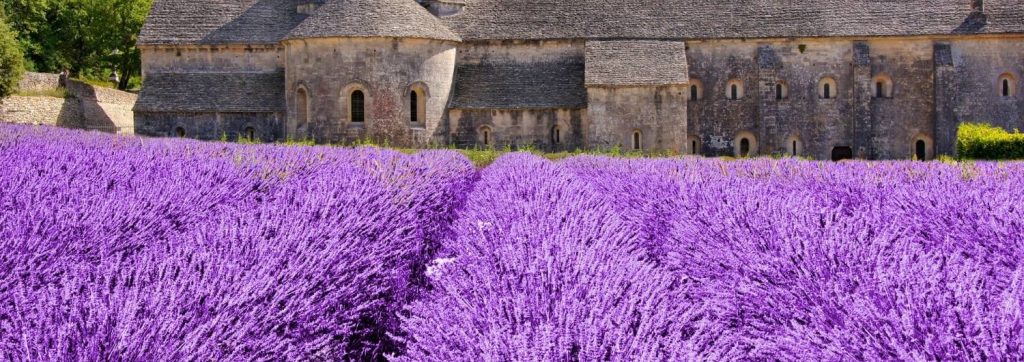 imaginary view of a lavender field in a bubble in provence, france