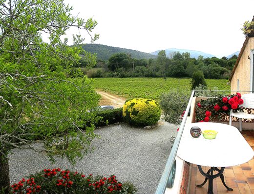 GITE CALME DANS LES VIGNES – GOLFE DE St-TROPEZ