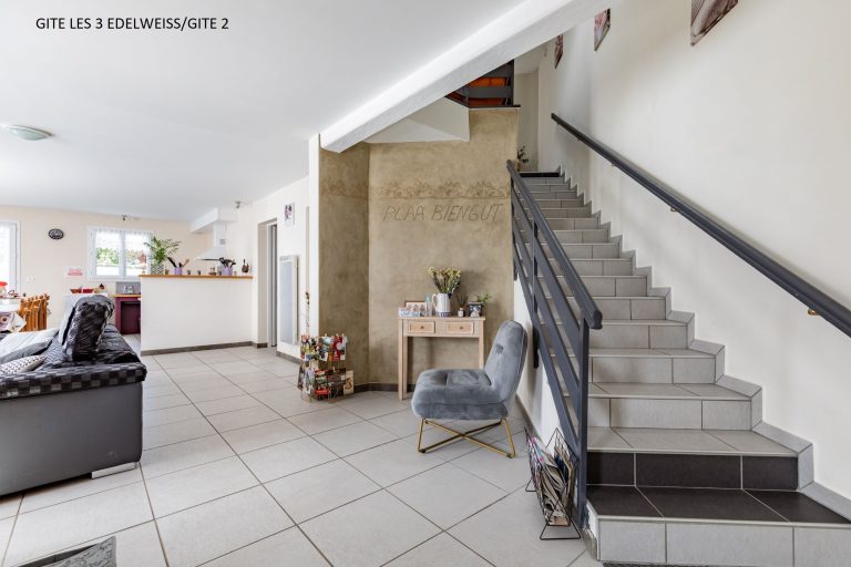 GITE LES 3 EDELWEISS A ARETTE 64570/GITE 2