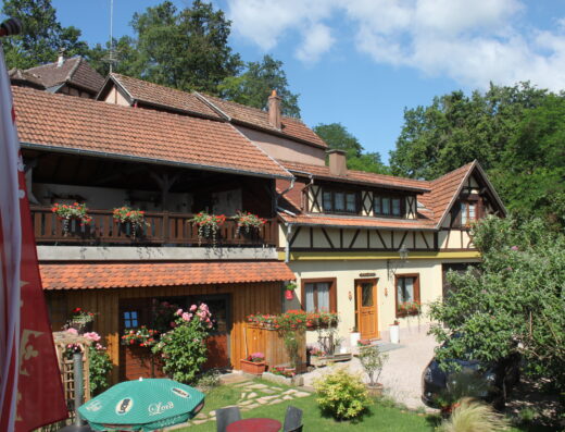 Charmante gîte in Centre Alsace