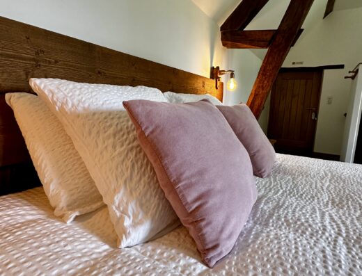 DOMAINE DE COUILLEUSE – Gästezimmer in der Nähe von Chambord